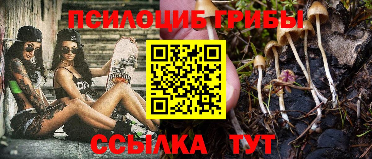 Псилоцибиновые грибы Magic Shrooms  Вход с VPN  Лениногорск 